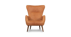 Aida Lounge Chair