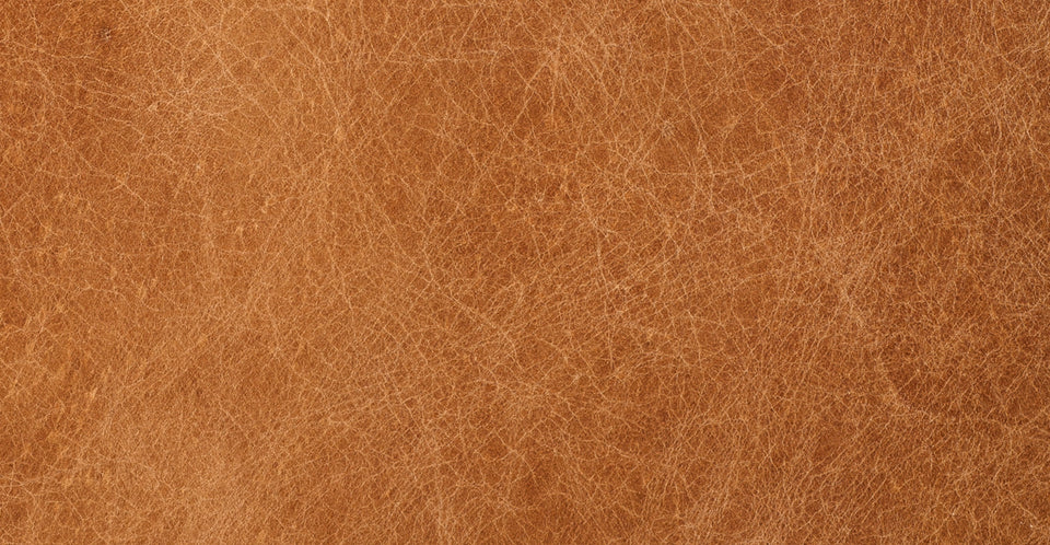 Aida Lounge Chair