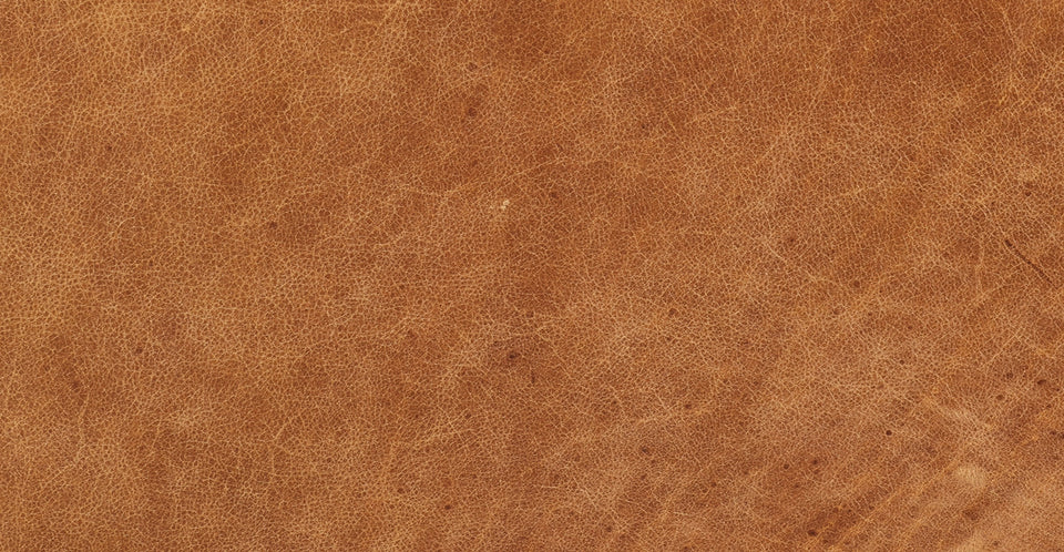 Aida Lounge Chair